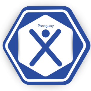 Campus Virtual de Capacitacitación de la Fundación Visión